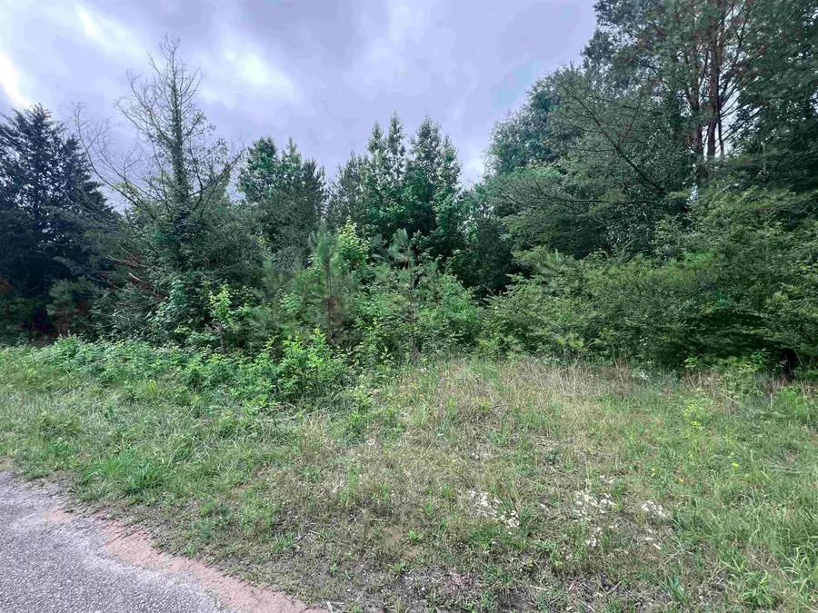 311 CR 3410 Co Rd 3410, Haleyville, AL 35565 - #2