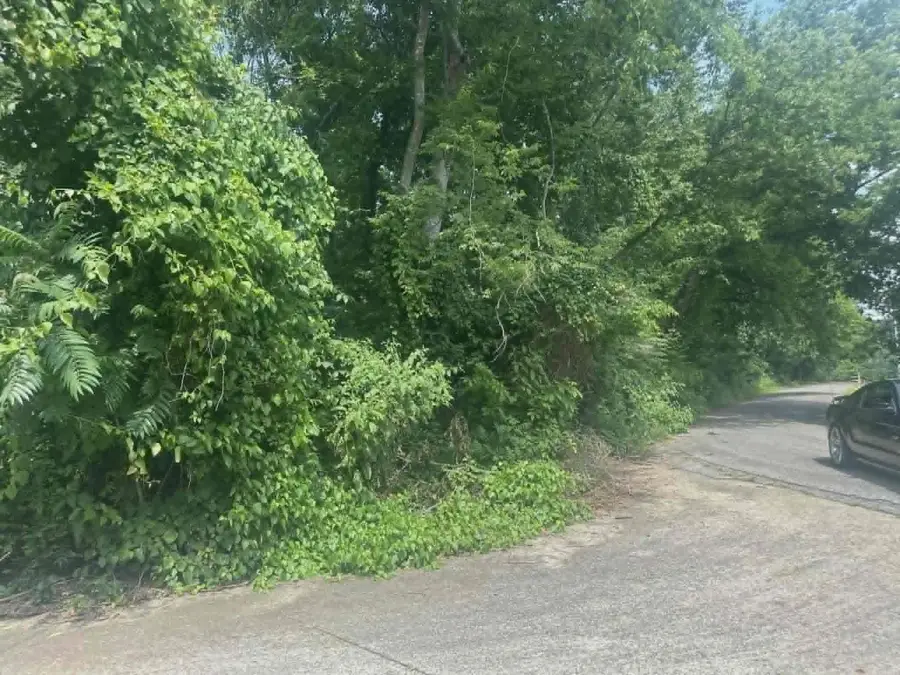0 N Dabney Ln, Rogersville, AL 35652 - #2