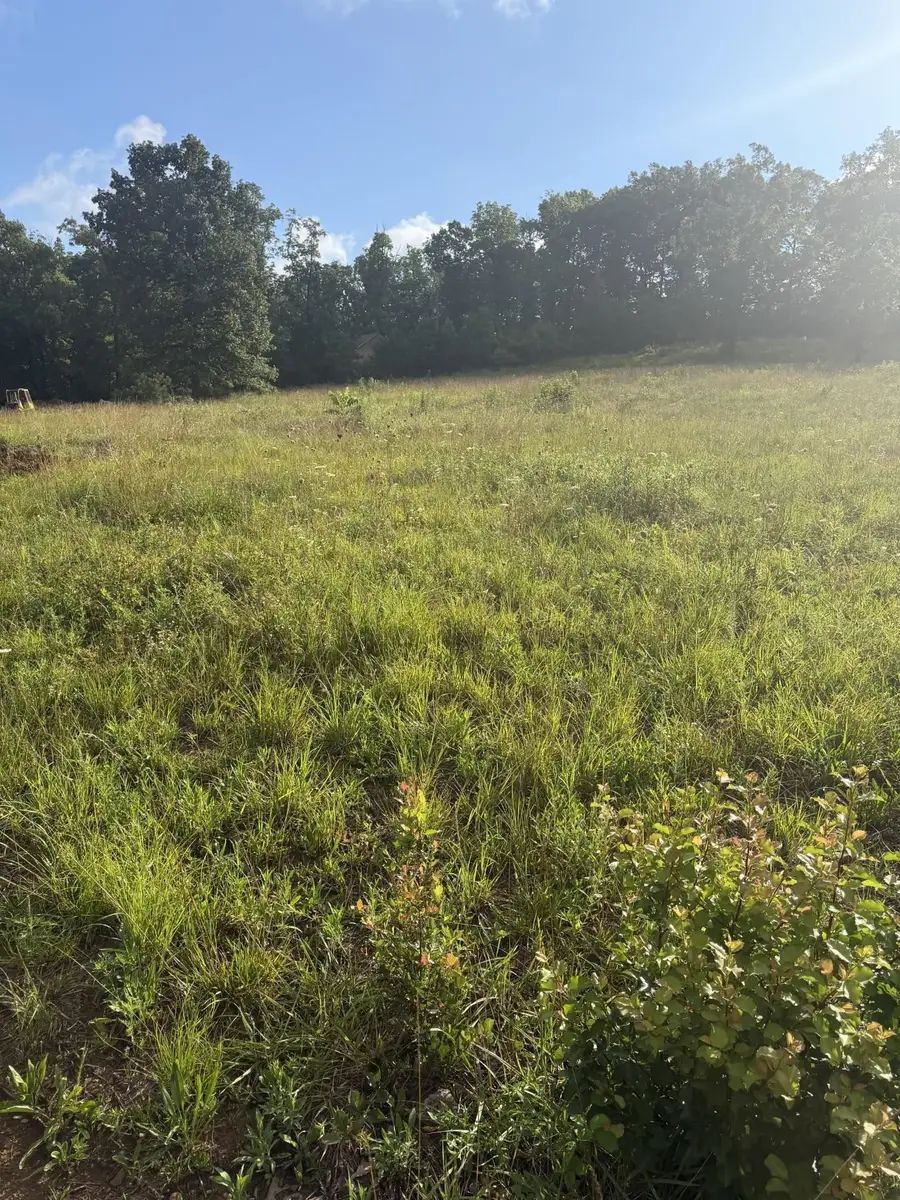 00 Lot 2 Lost Creek Rd, Russellville, AL 35653 - #2