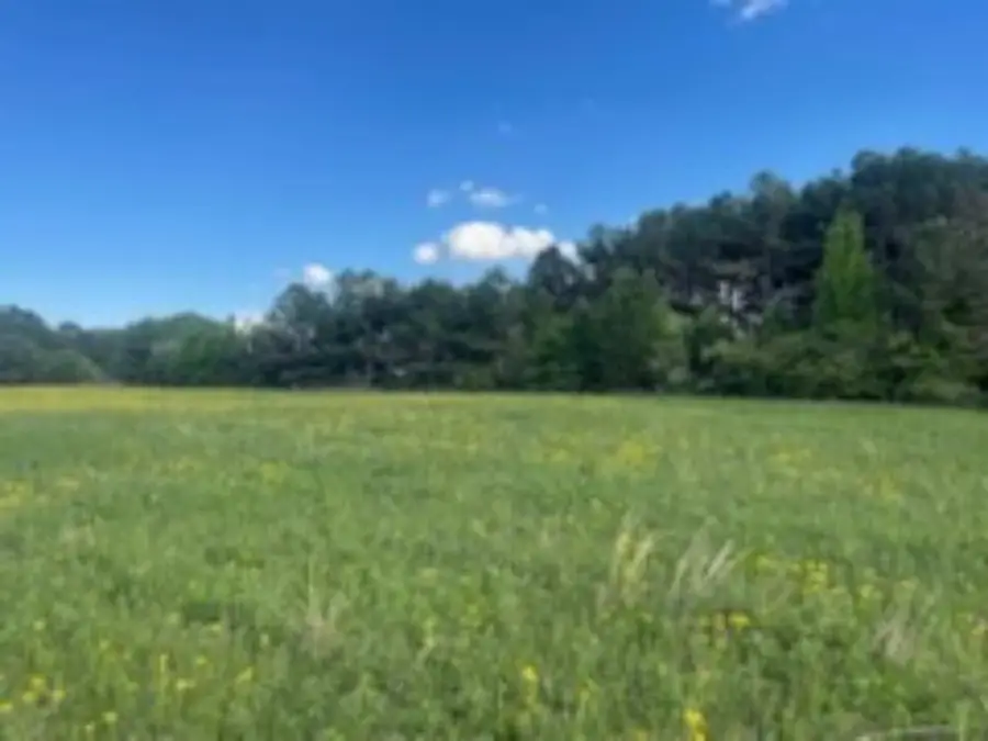 001 Hindman Rd, Hodges, AL 35571 - #2