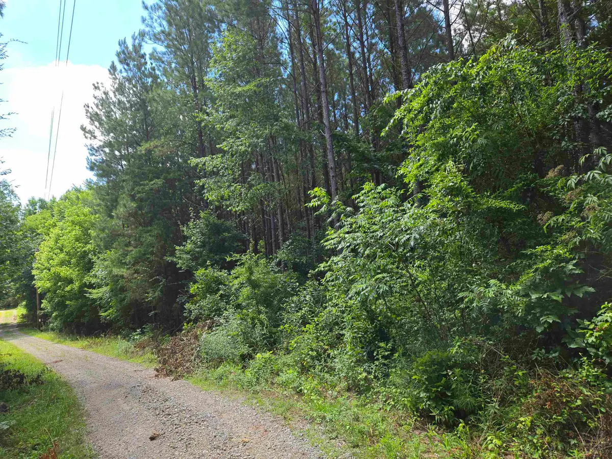 0 Co Rd 532, Hanceville, AL 35077 - #1