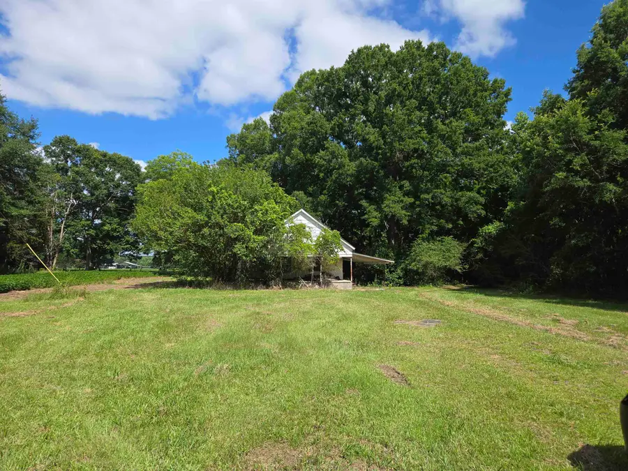 0 Co Rd 532, Hanceville, AL 35077 - #2