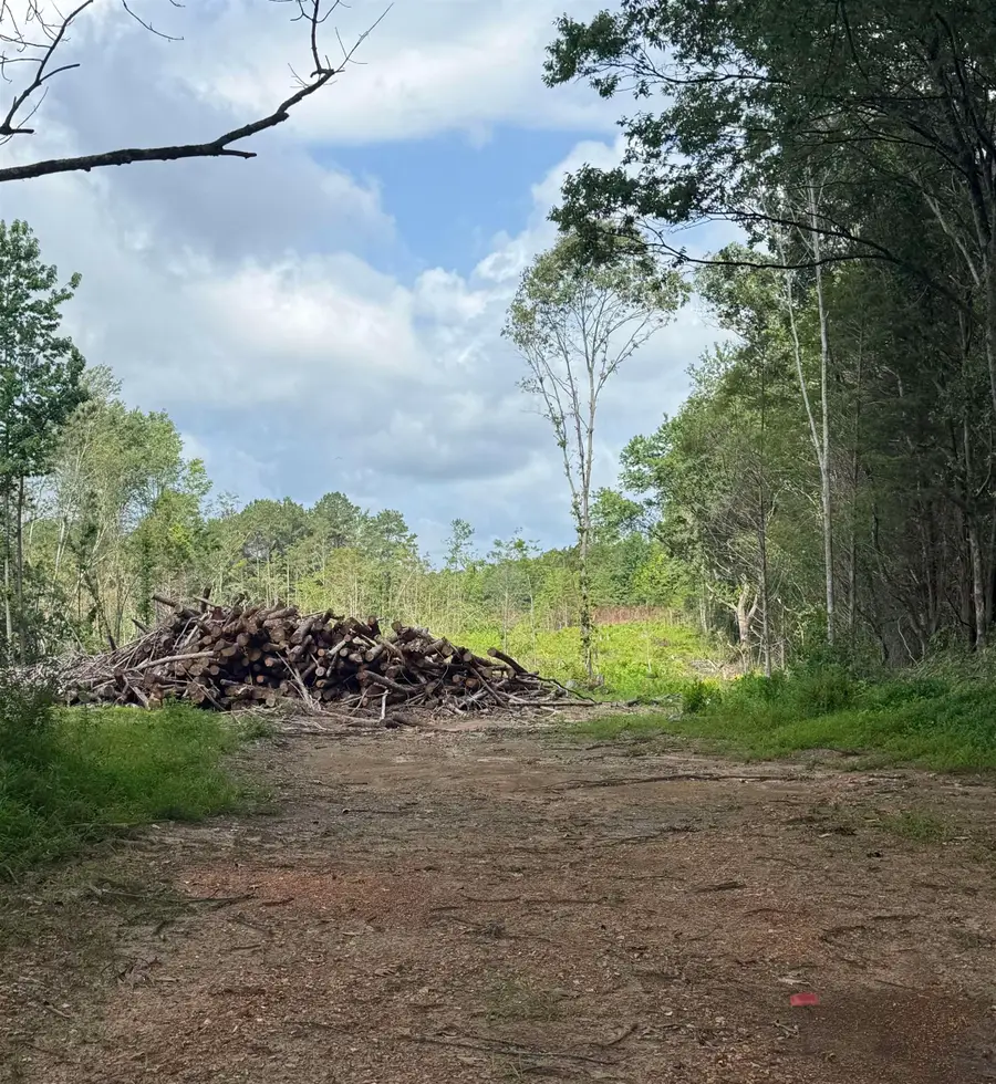 10881 Hwy 17, Florence, AL 35634 - #3