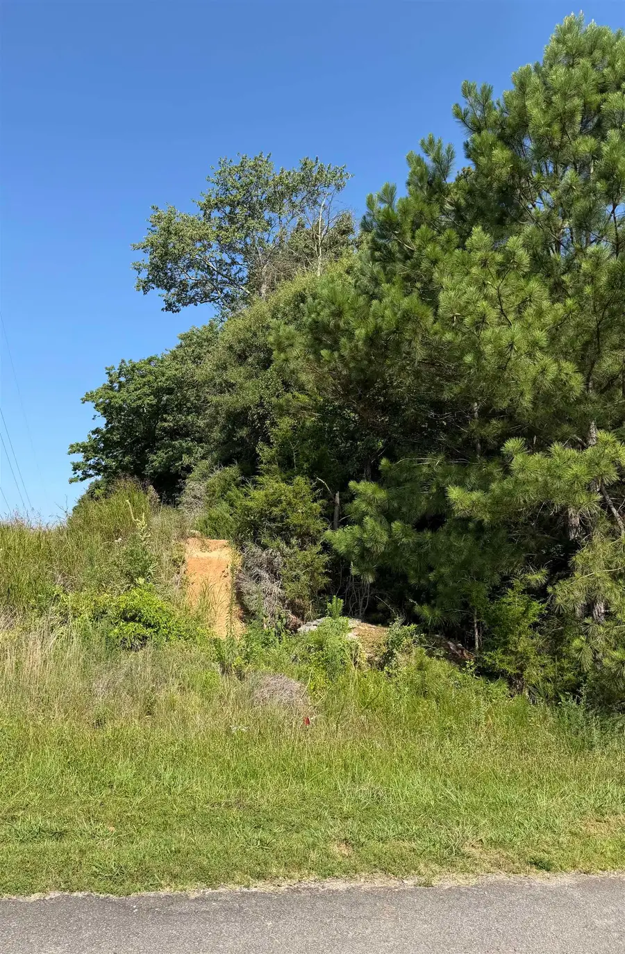 Renee Dr, Tuscumbia, AL 35674 - #3