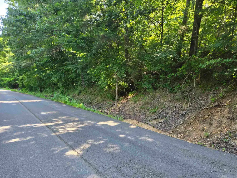 420 Co Rd 339, Killen, AL 35645 - #2
