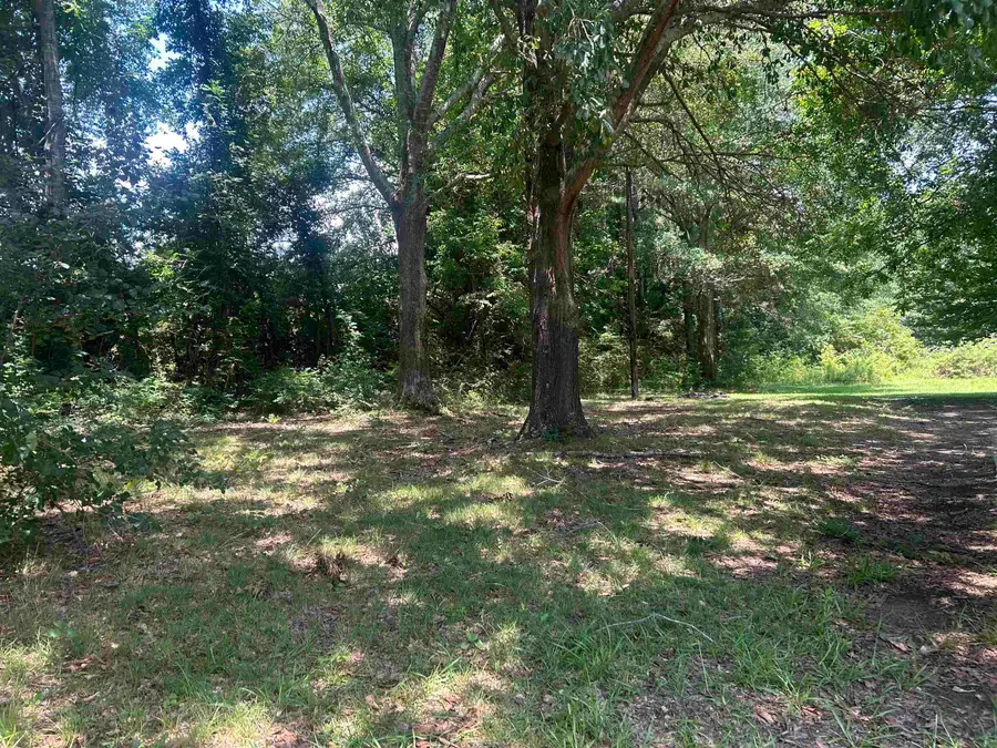 901 Hopewell Dr, Hanceville, AL 35077 - #3