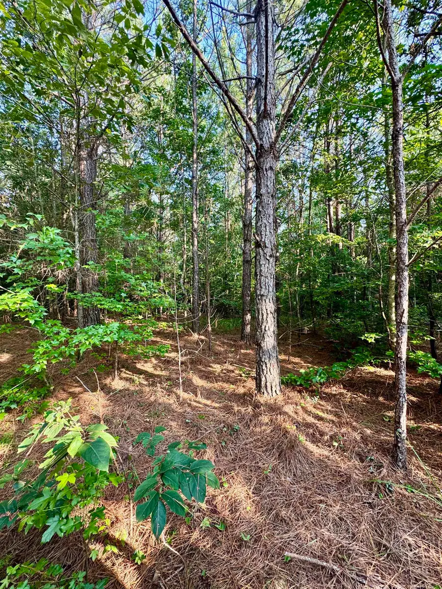 250 Mobley Crossing, Hodges, AL 35571 - #2