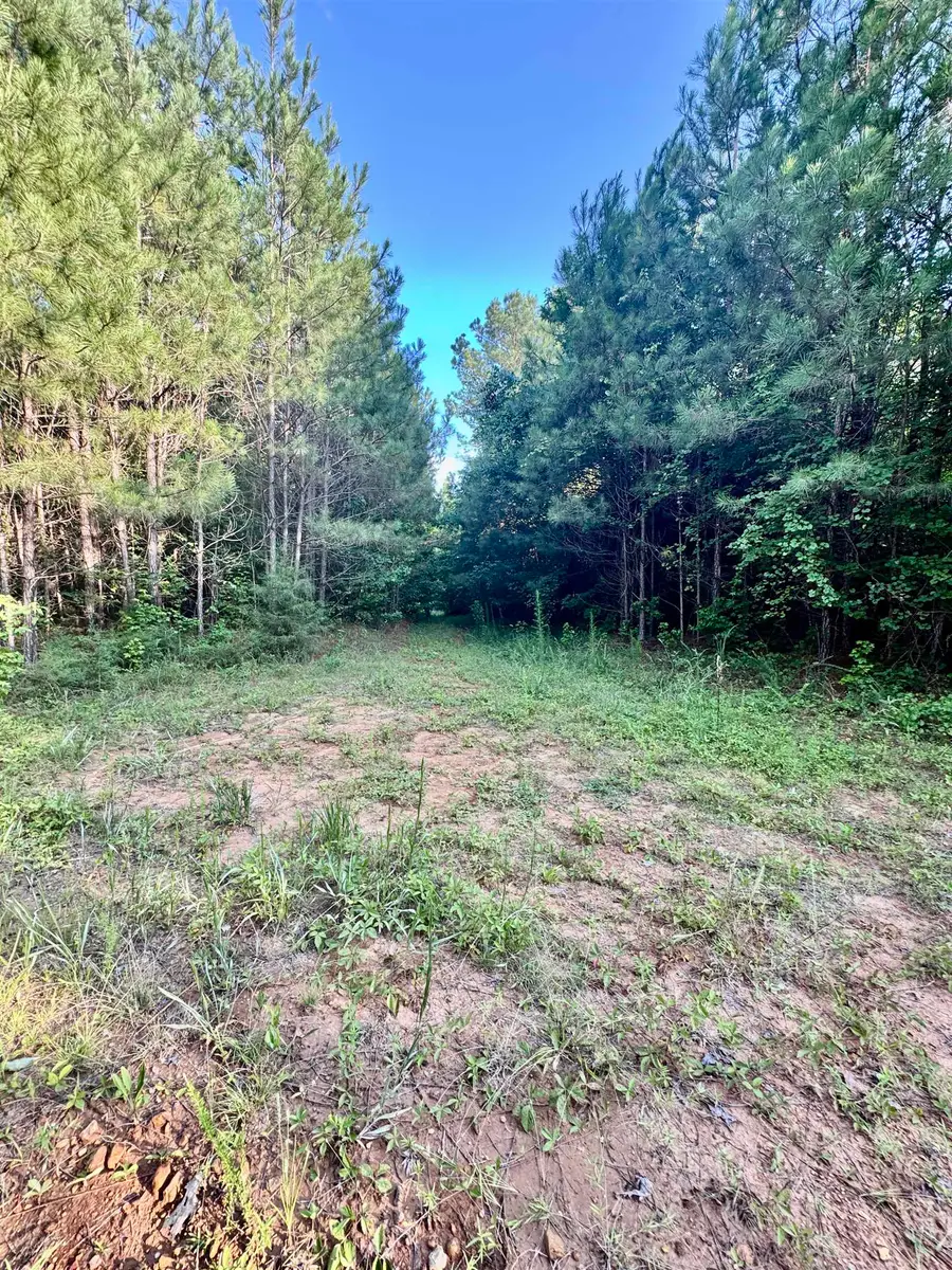 250 Mobley Crossing, Hodges, AL 35571 - #3