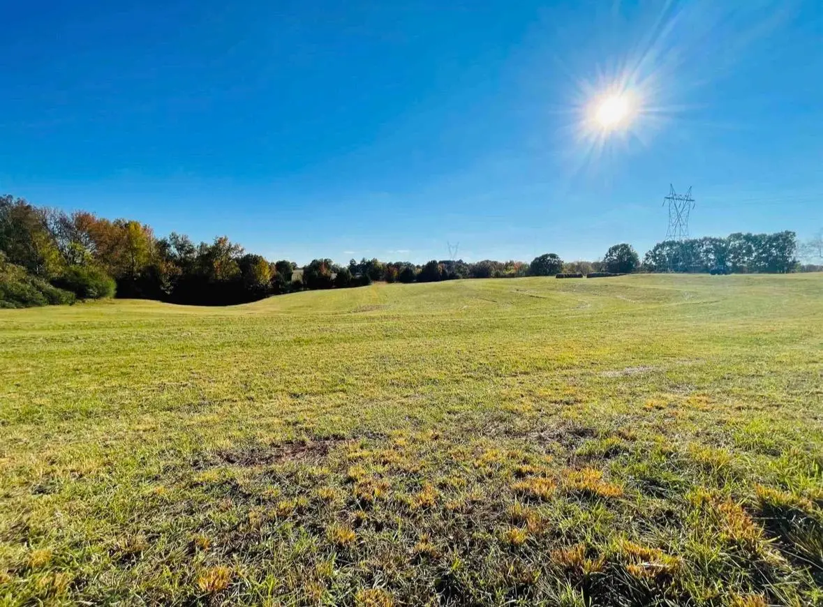 2829 Co Rd 92, Rogersville, AL 35652 - #1