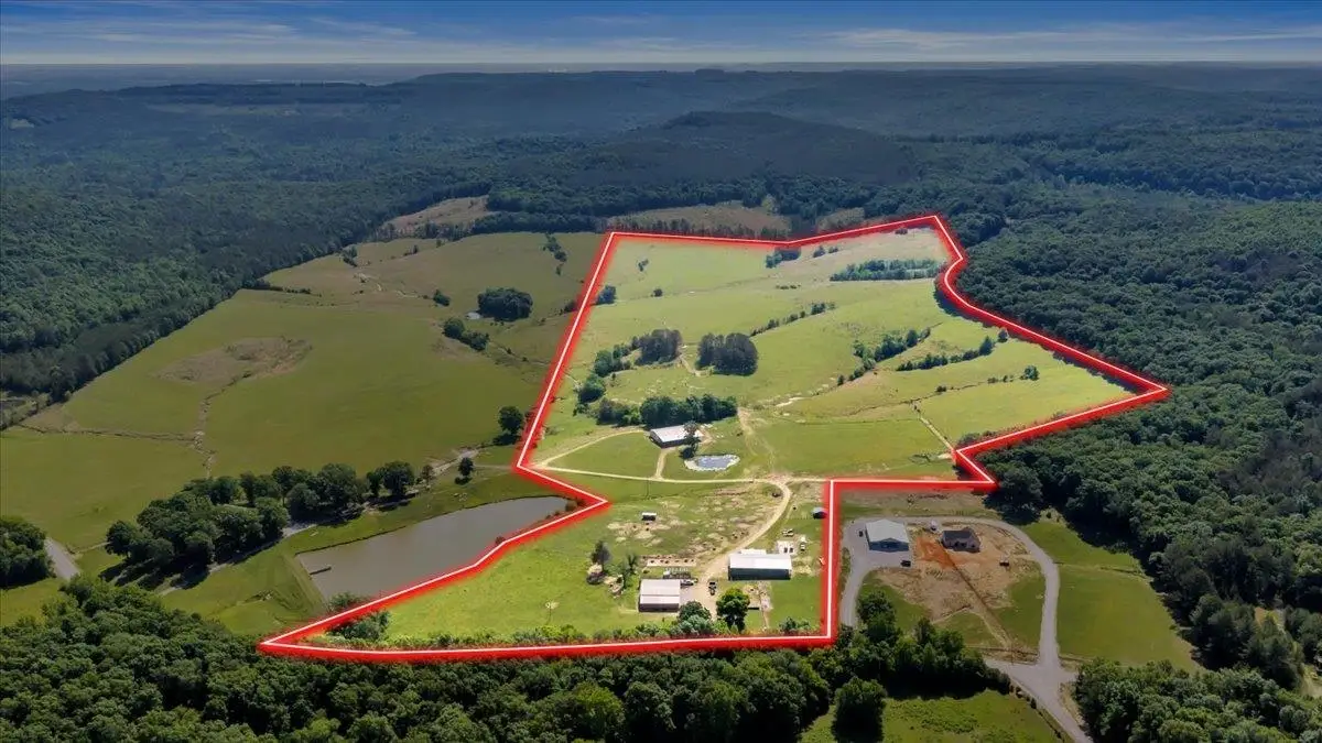 89 White Pike, Cherokee, AL 35616 - #1