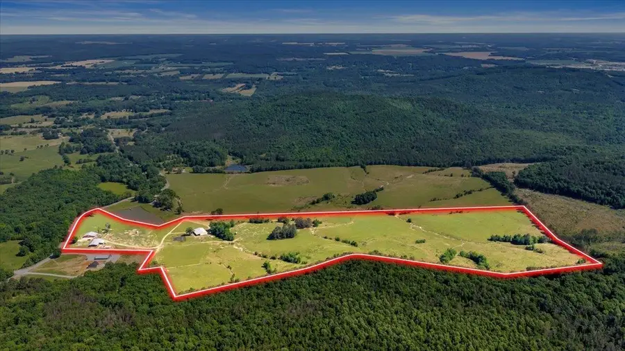 89 White Pike, Cherokee, AL 35616 - #3