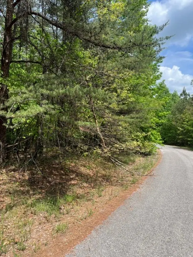 0 Co Rd 325, Double Springs, AL 35553 - #3