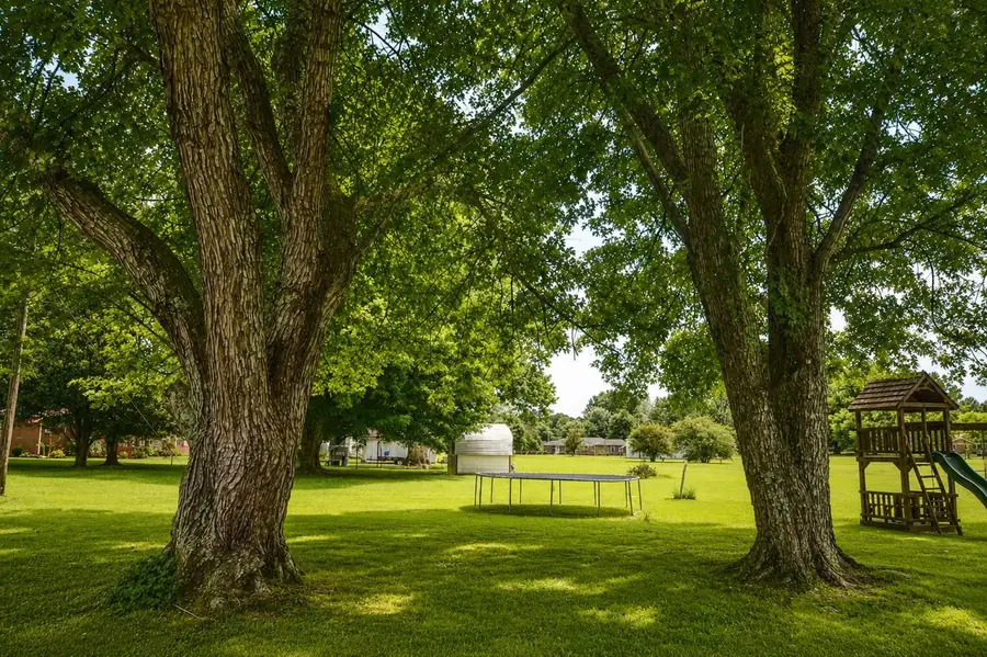 4635 Co Rd 48, Lexington, AL 35648 - #3