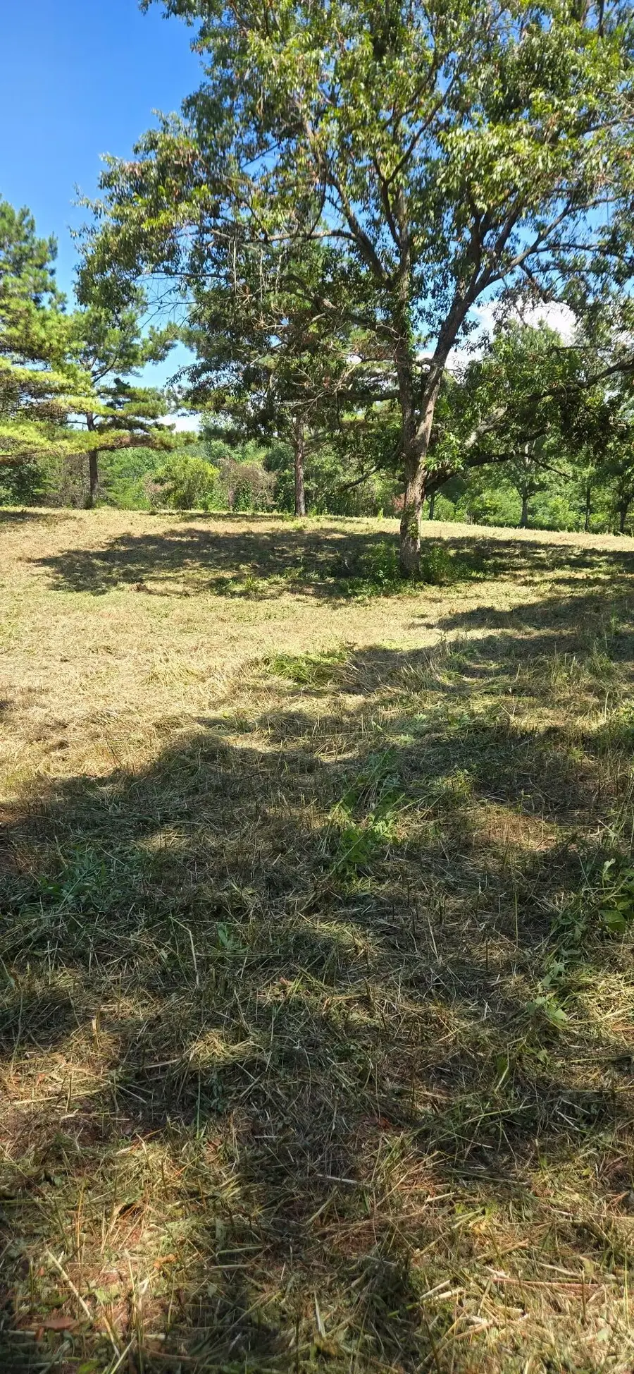 000 Frankfort Rd, Tuscumbia, AL 35674 - #2