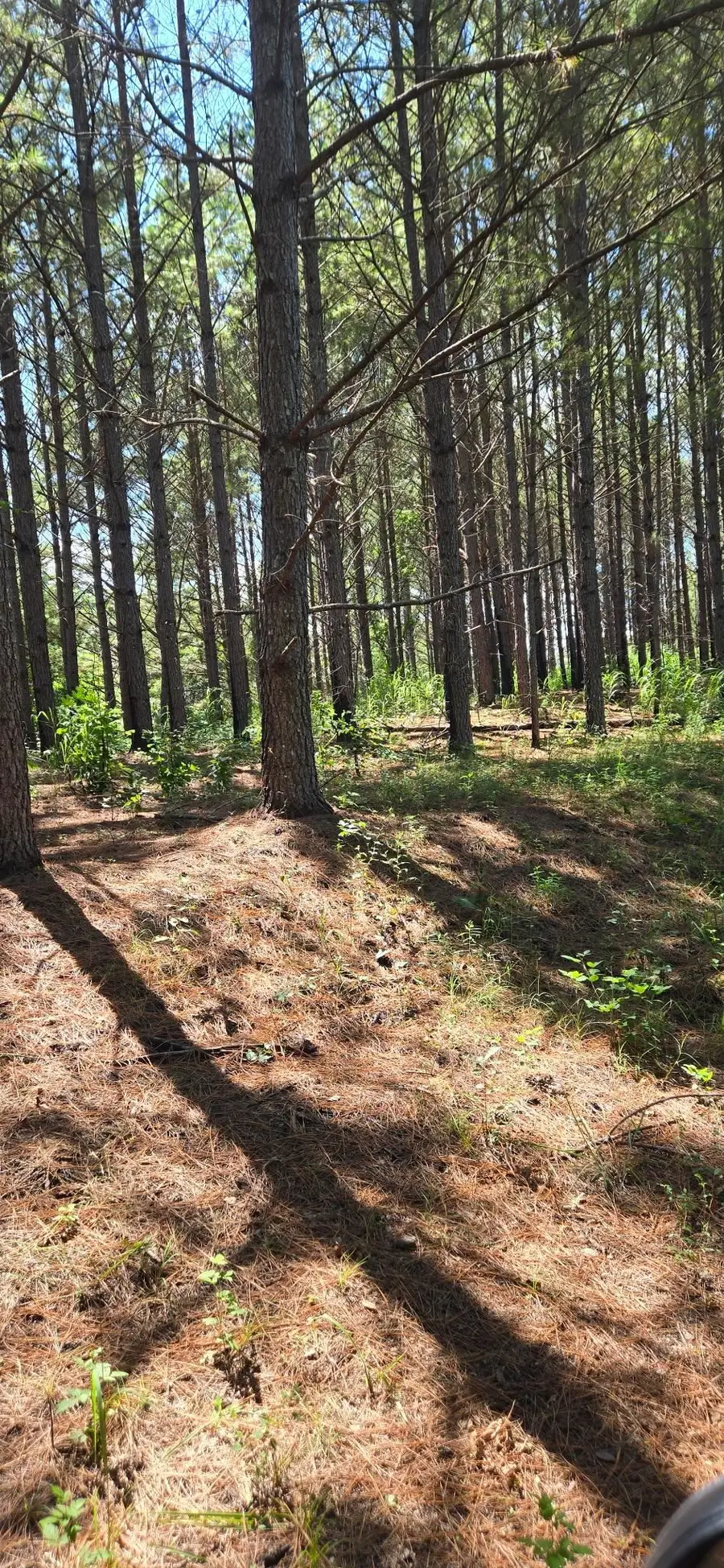 000 Frankfort Rd, Tuscumbia, AL 35674 - #3