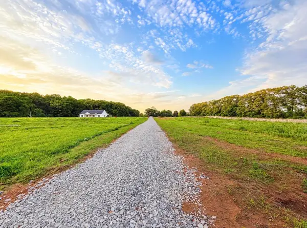 8717 Co Rd 92, Rogersville, AL 35652