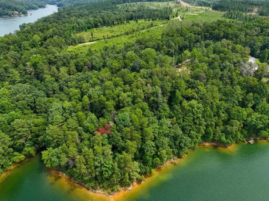 295 Sunset Ln, Logan, AL 35098 - #2