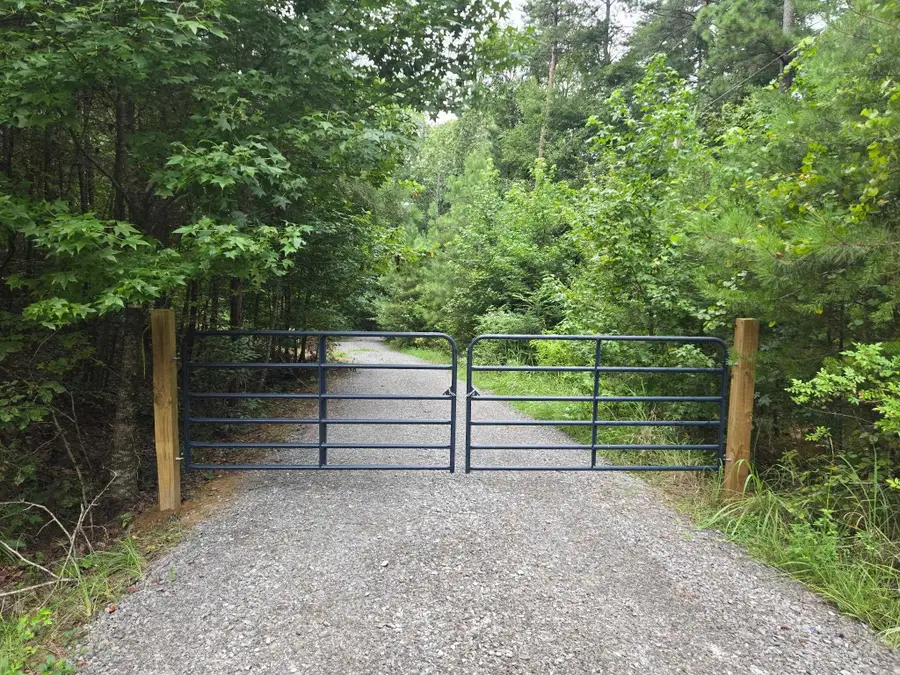 295 Sunset Ln, Logan, AL 35098 - #3