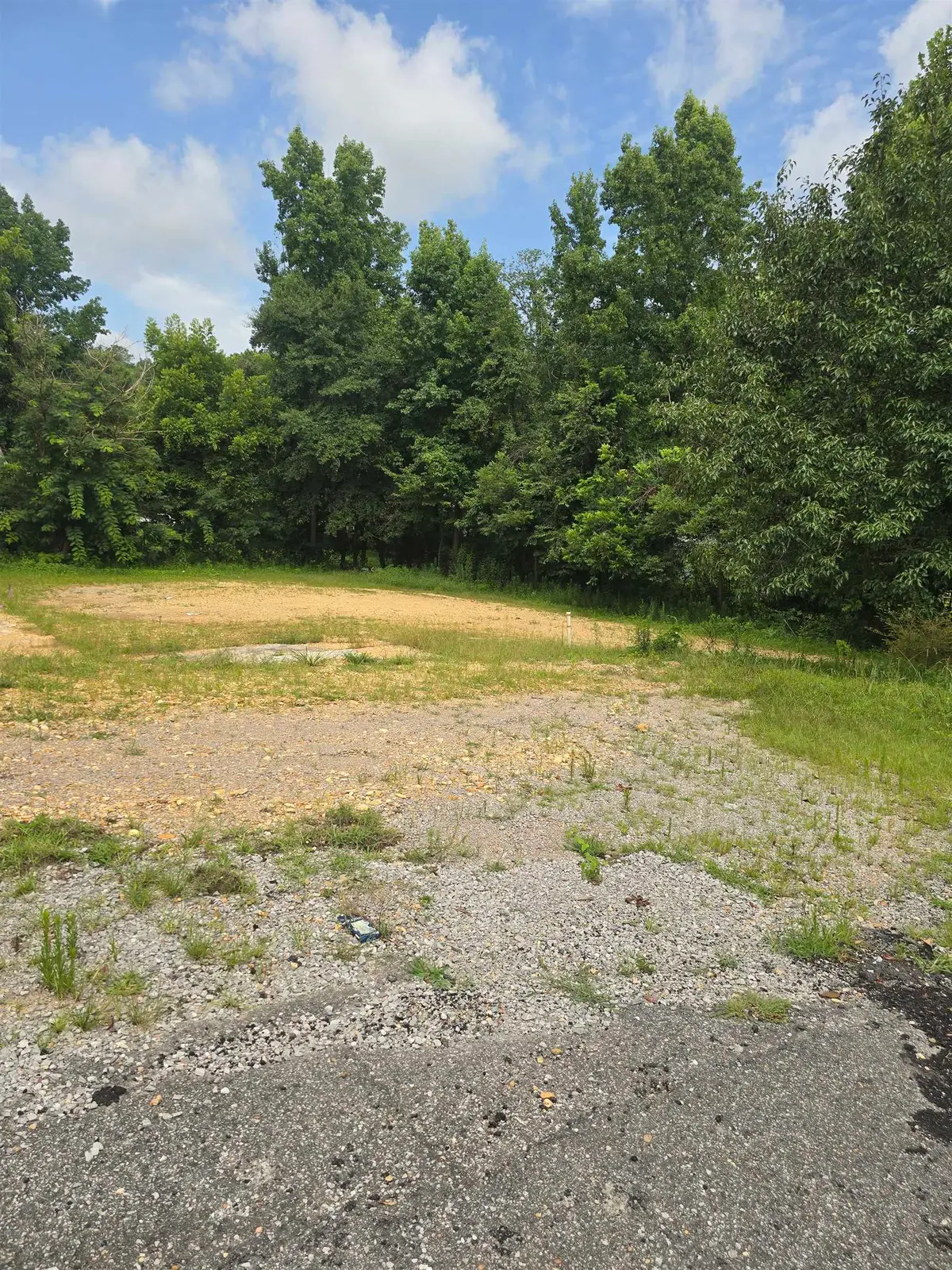 311 NW 1st St, Hamilton, AL 35570 - #1