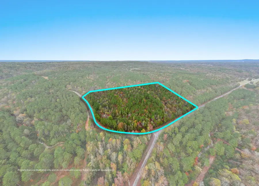 0 Co Rd 518, Hanceville, AL 35077 - #2