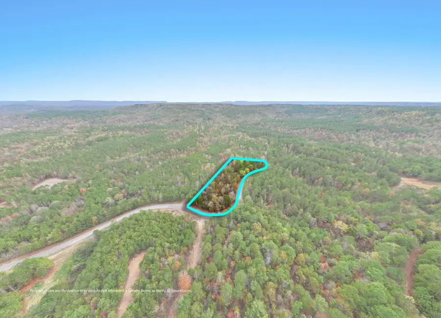 0 Co Rd 518, Hanceville, AL 35077 - #3