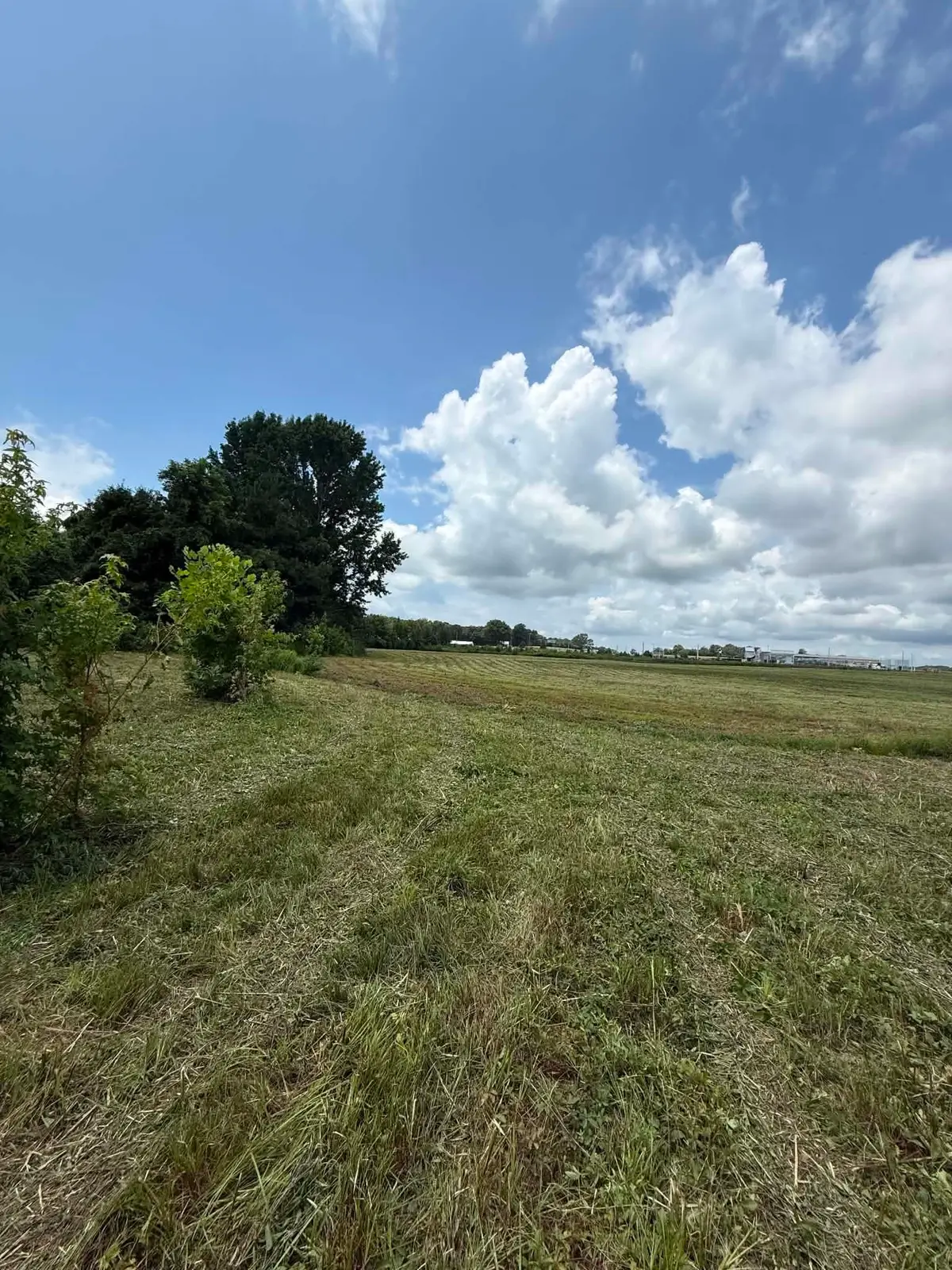 3201 Co Rd 70, Rogersville, AL 35652 - #1
