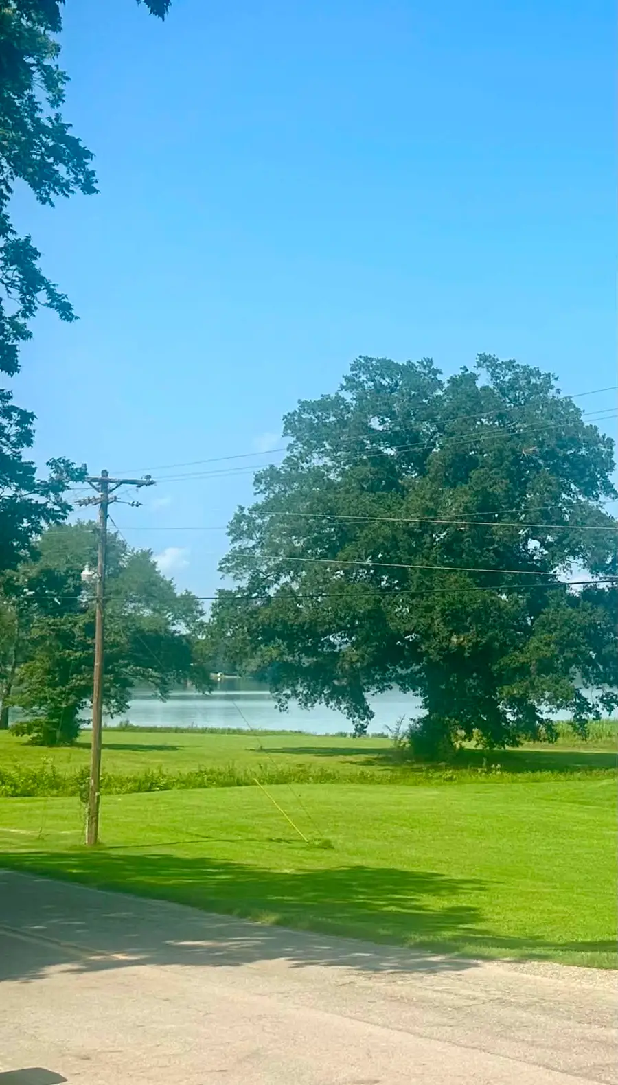 6872 Co Rd 14, Waterloo, AL 35677 - #2