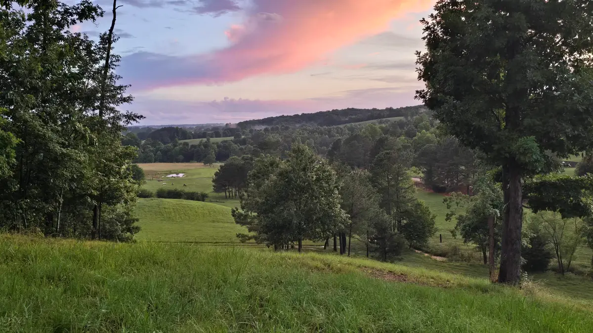 0 Co Rd 436, Cullman, AL 35057 - #1