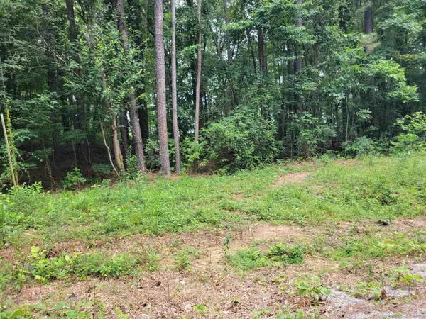 lot 21 and 22 Co Rd 199, Bremen, AL 35033