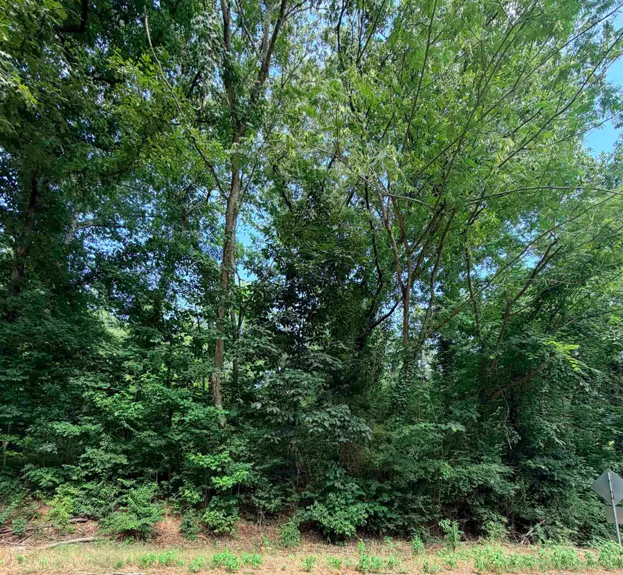 0 Willingham Hill Rd, Tuscumbia, AL 35674 - #2