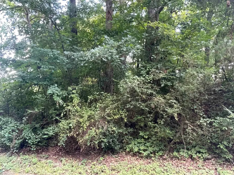 0 Dora Dr, Florence, AL 35633 - #3