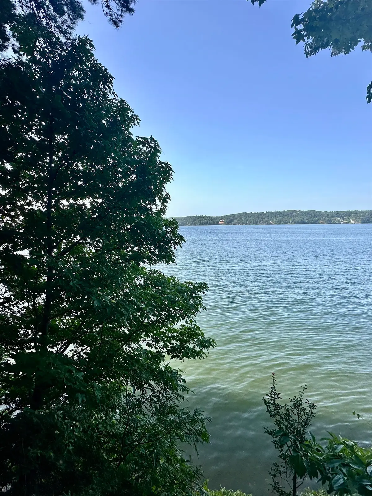 0 Paradise Dr, Waterloo, AL 35677 - #1
