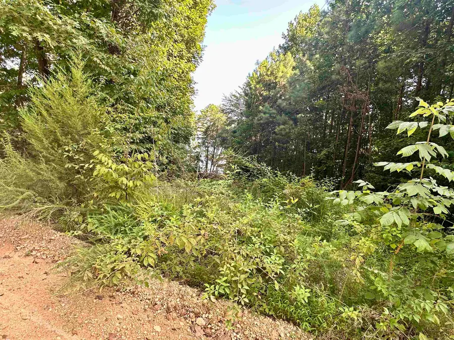 0 Paradise Dr, Waterloo, AL 35677 - #2