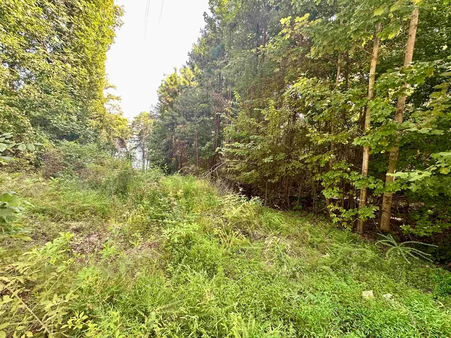 0 Paradise Dr, Waterloo, AL 35677 - #3