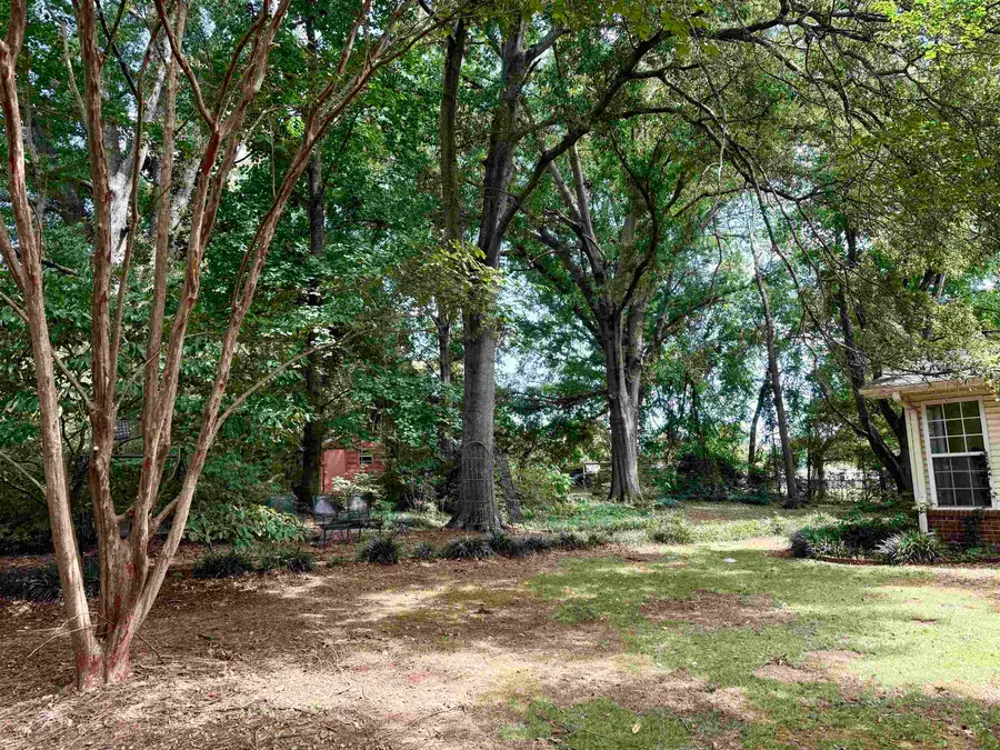 110 Hollywood Dr, Tuscumbia, AL 35674 - #2