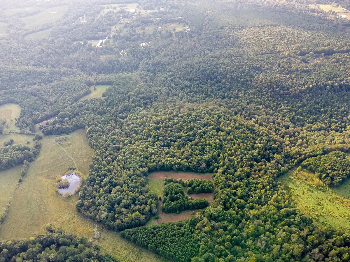 0 Underwood Mountain Rd, Tuscumbia, AL 35674 - #1
