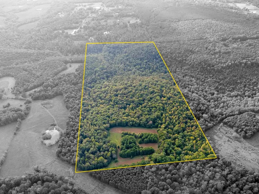 0 Underwood Mountain Rd, Tuscumbia, AL 35674 - #2