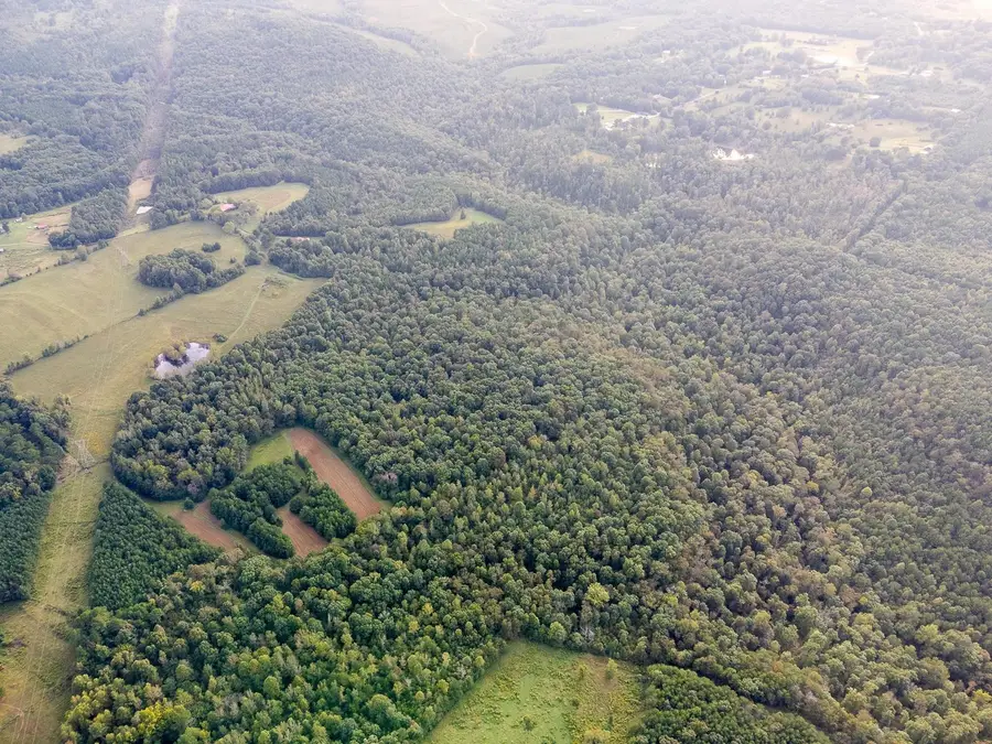 0 Underwood Mountain Rd, Tuscumbia, AL 35674 - #3