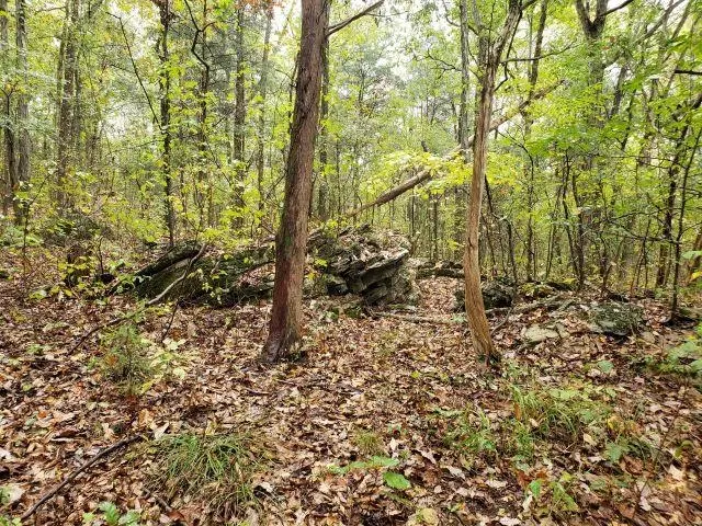 Alabama Hwy 101, Town Creek, AL 35672 - #1