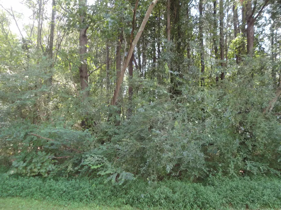 0 College Dr, Hanceville, AL 35077 - #2