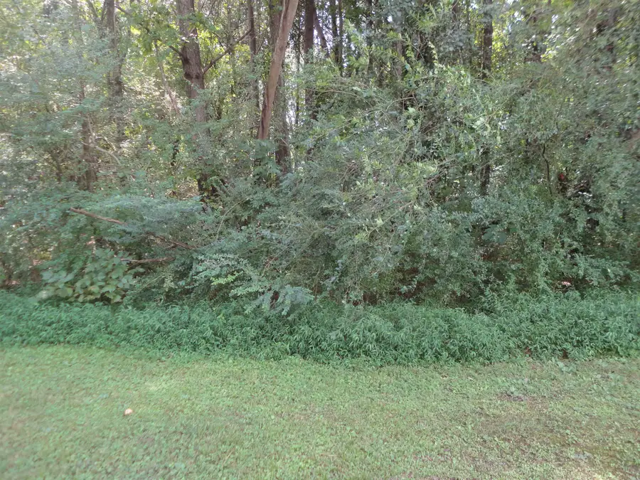 0 College Dr, Hanceville, AL 35077 - #3