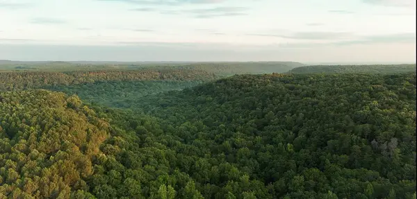 0 Wagnon Mountain Rd, Tuscumbia, AL 35674
