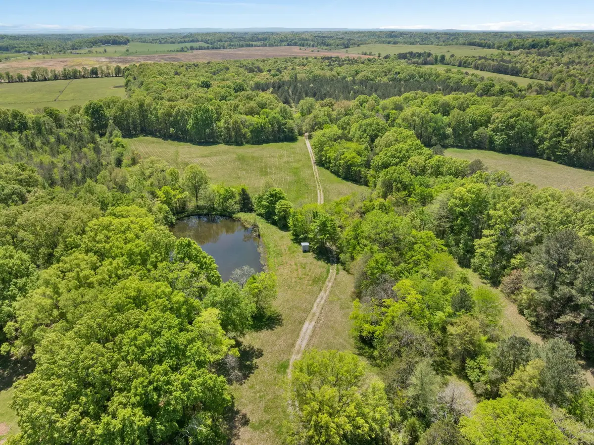 0 Hwy 157, Leighton, AL 35646 - #1