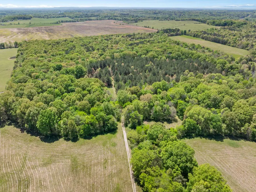 0 Hwy 157, Leighton, AL 35646 - #2
