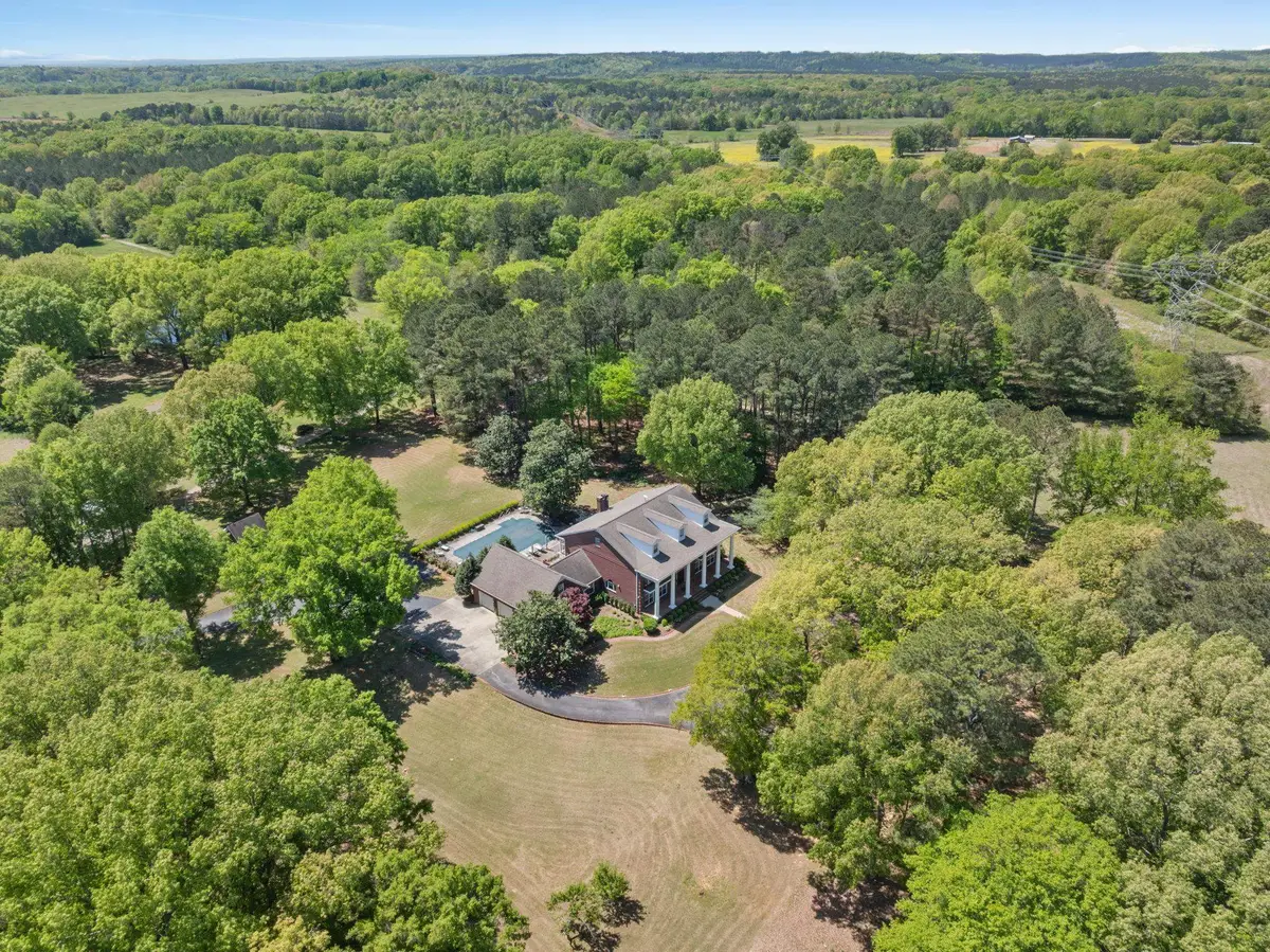 5874 Hwy 157, Leighton, AL 35646 - #1