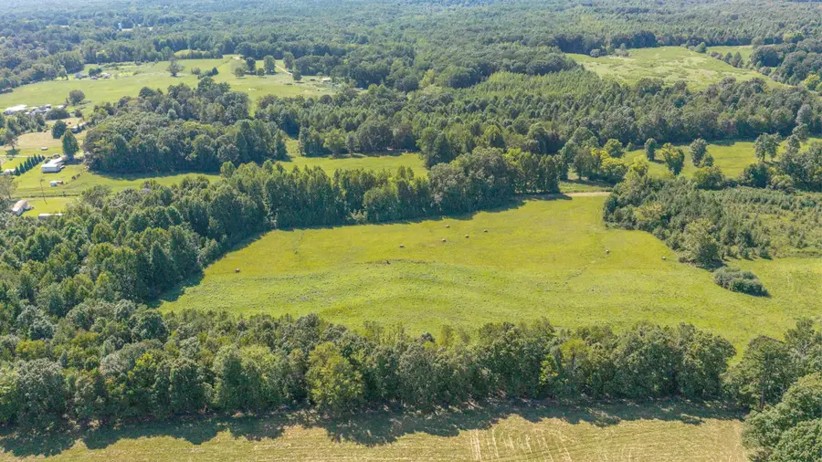 0 Co Rd 116, Waterloo, AL 35677 - #2