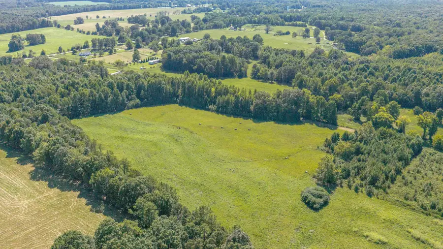 0 Co Rd 116, Waterloo, AL 35677 - #3