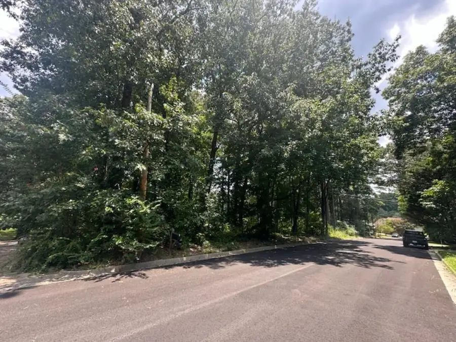 Dogwood Ln, Cullman, AL 35055 - #3