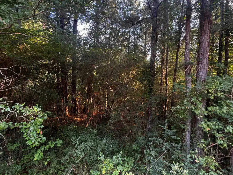 0 Co Rd 1728, Holly Pond, AL 35083 - #2