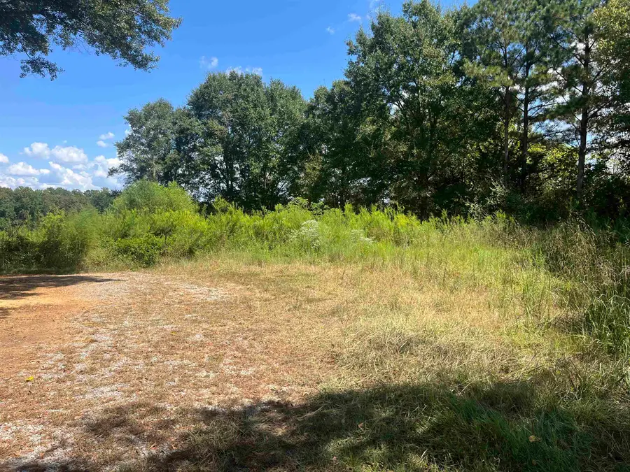 8957 Co Rd 747, Cullman, AL 35055 - #3